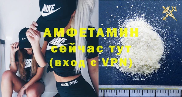 соль ск Богданович