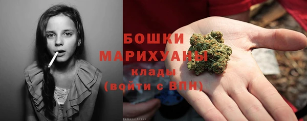 соль ск Богданович