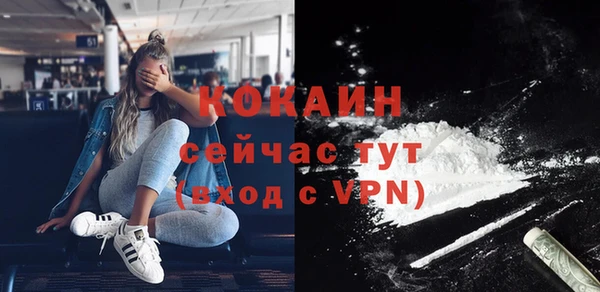 соль ск Богданович