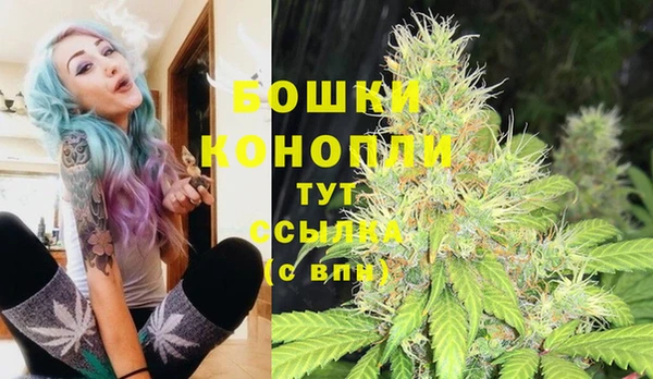 бутират Богородицк